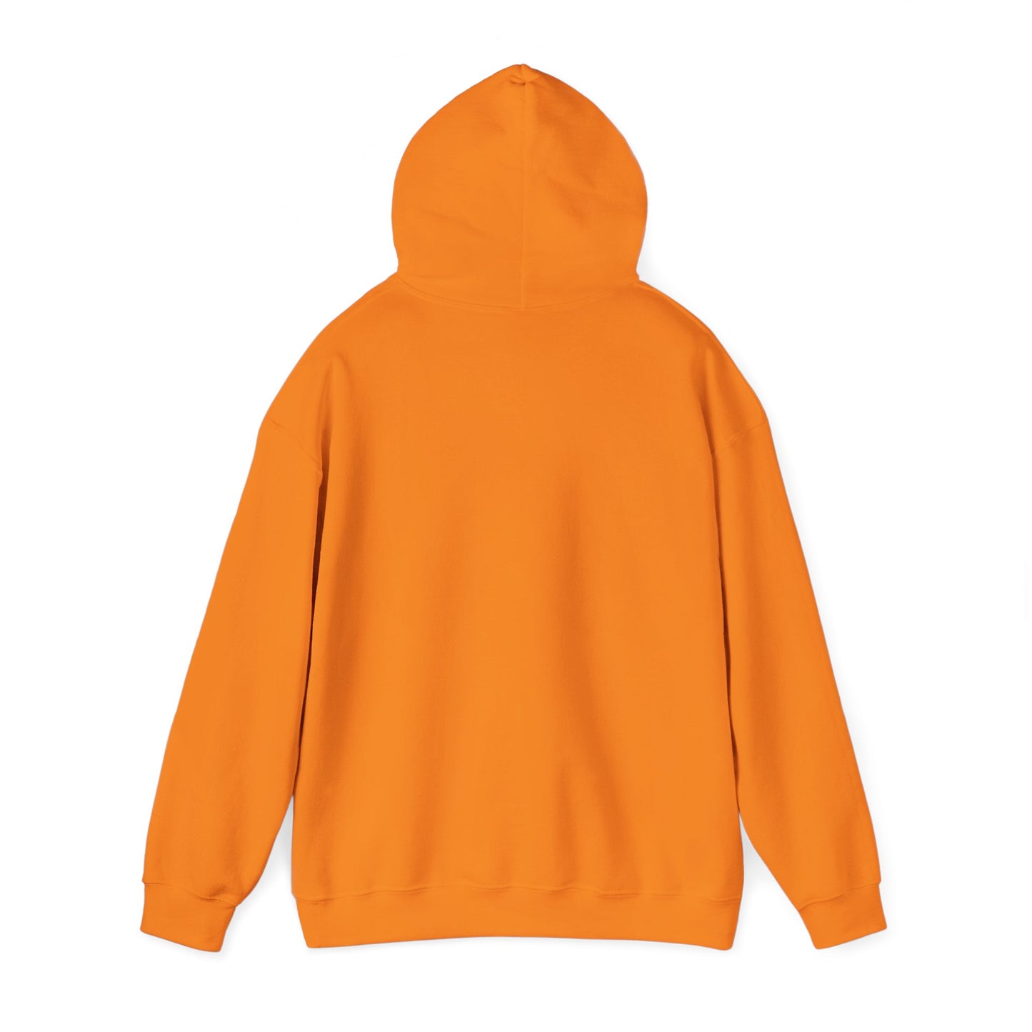 Auspicious Hoodie | (3 colors)