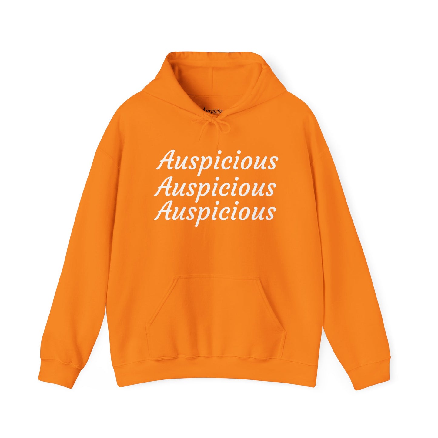 Auspicious Hoodie | (3 colors)